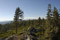 Site near Black Rock Ranger Station 2007